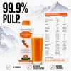 Biosash Sea Buckthorn Juice - Image 3