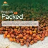 SEABUCKTHORN DRY BERRY - Image 4