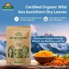 SEA BUCKTHORN LEAVES - Image 3
